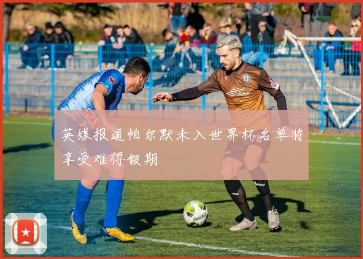 英媒报道帕尔默未入世界杯名单将享受难得假期